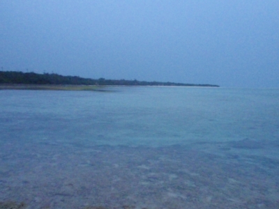 ・・・海。