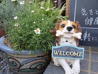 15YA健康サロンに到着。