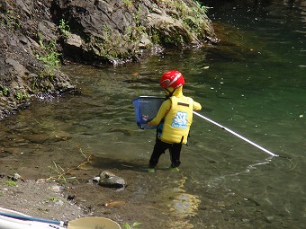 川にはどんな生き物がいたかな?