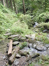 自然がつくりだした川