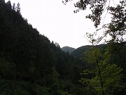 今朝の天気は小雨。