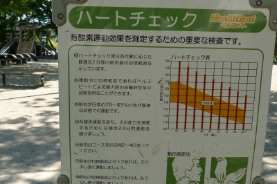 有酸素運動してますか?