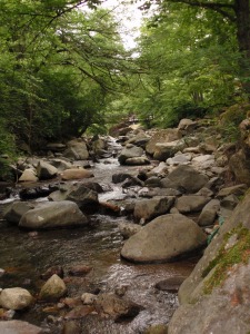 道志川