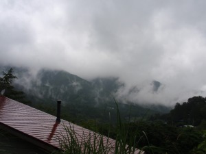 山から立ち上る霧