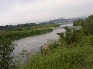 相模川