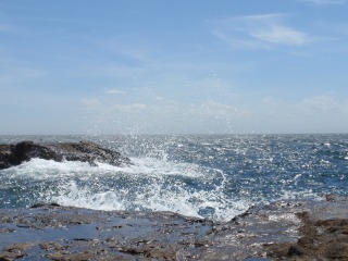 海