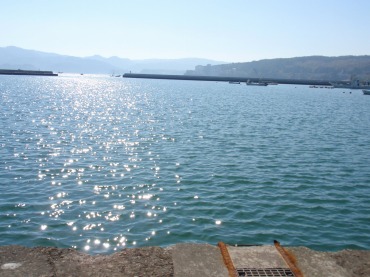南三陸の海