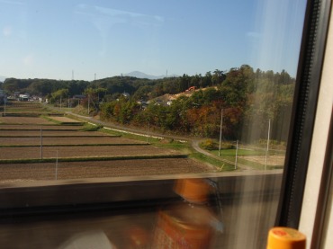 東北に向かうにつれ鮮やかになる紅葉