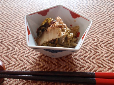 白菜の発酵漬け