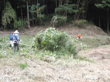 里山のお手入れ開始。