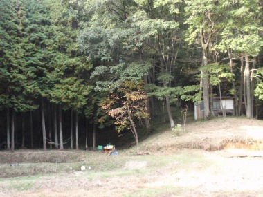 ぼさぼさだった里山…1年後、10年後、先が楽しみです。