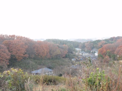 山の谷間へひが沈みかけると足元にひろがる紅葉も影をおろし…さぁ、そろそろ帰りましょう。
