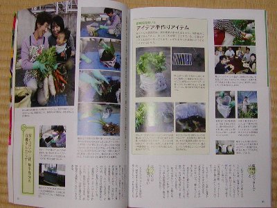 掲載ページ