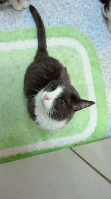 2013122718450001.jpg