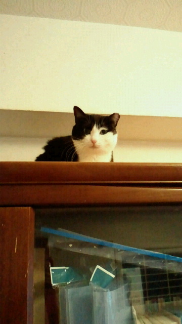 2014010902590001.jpg