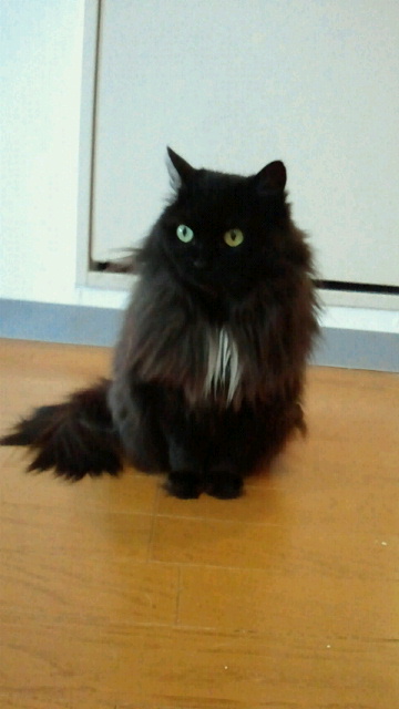 2014021623180000.jpg