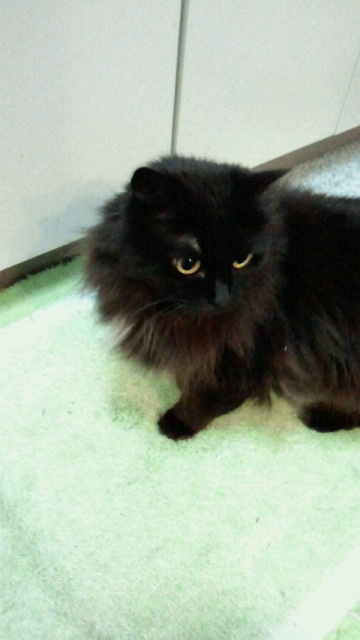2014021623470000.jpg