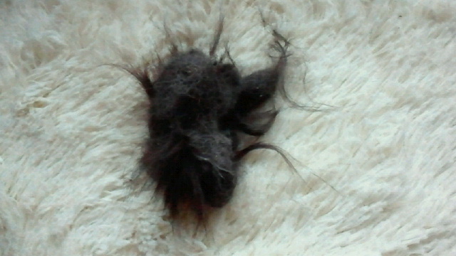 2014030523410000.jpg