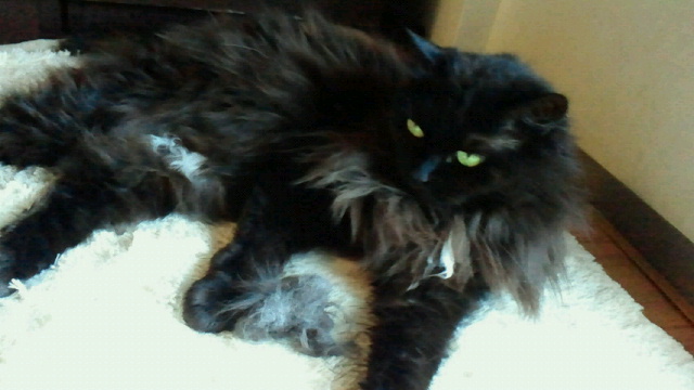 2014030523410001.jpg