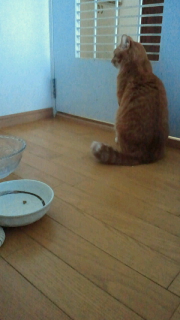 2014032622000000.jpg