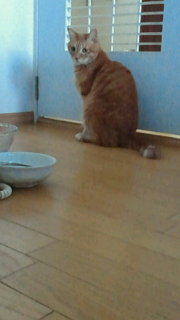 2014032622000001.jpg