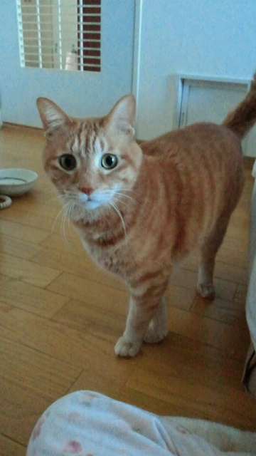 2014032622010000.jpg