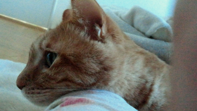 2014032622010001.jpg