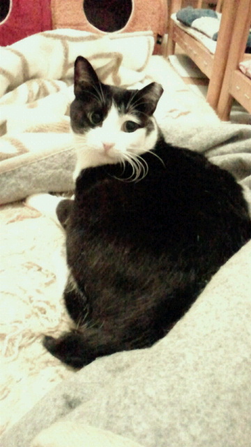 2014040222370000.jpg