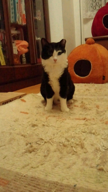 2014040222390000.jpg