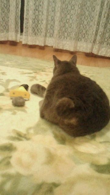 2014042804170000.jpg