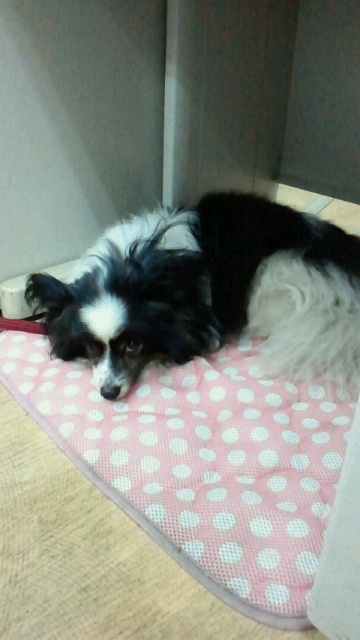 2014061214430000.jpg