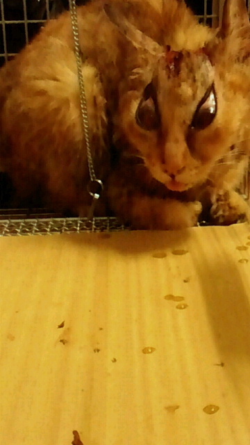 2014061214130000.jpg