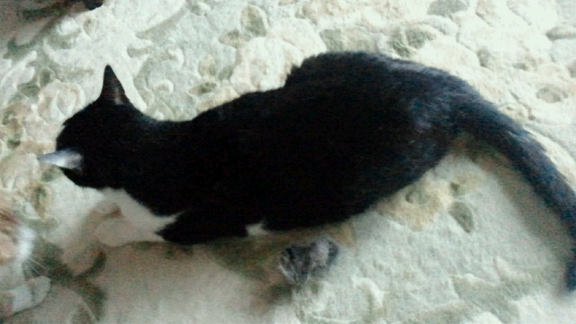 2014070503200000.jpg