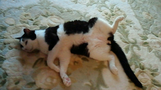 2014070503230000.jpg