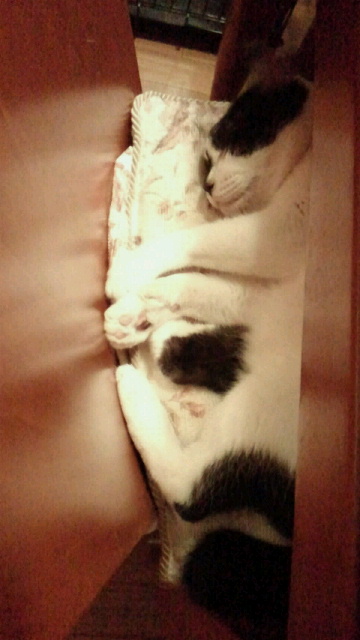 2014080623010000.jpg