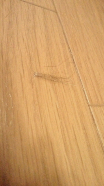 2014090900280001.jpg