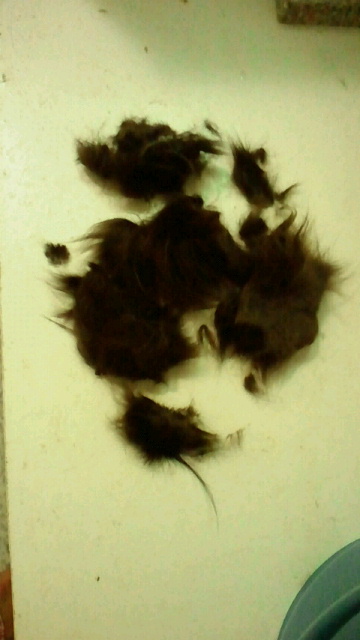 2014092222190000.jpg