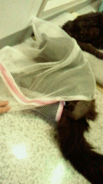 2014092222200000.jpg