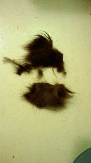 2014092222210000.jpg