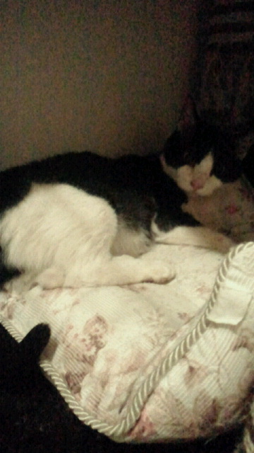 2014101323350000.jpg