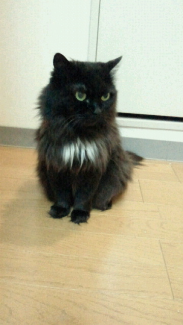 2015010800060000.jpg