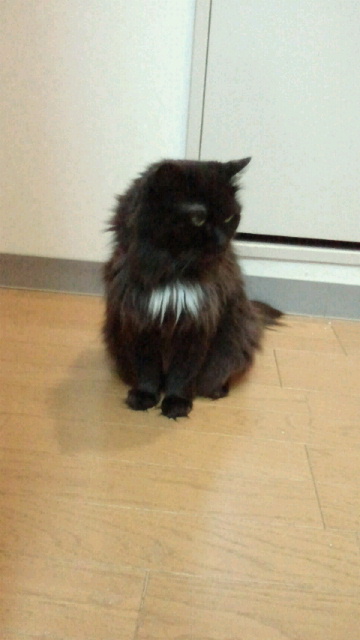 2015010800060001.jpg
