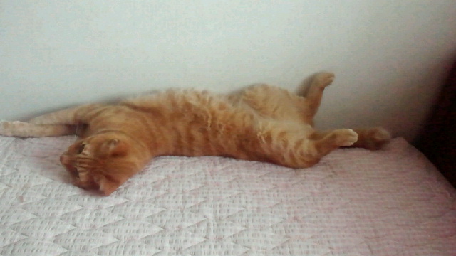 2015020522060000.jpg