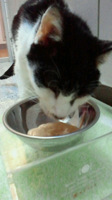 2015021201080002.jpg
