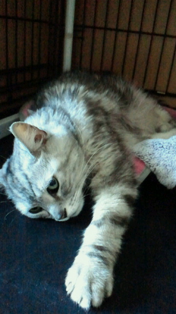 2015050715160000.jpg