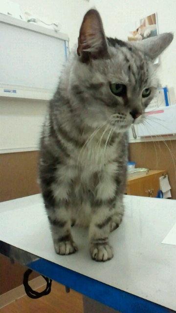 2015050715170000.jpg