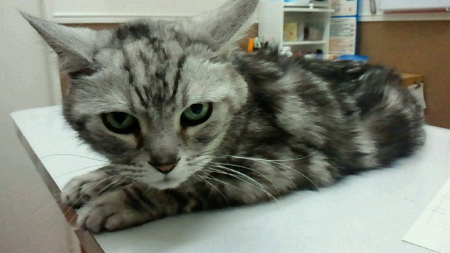 2015050715170001.jpg