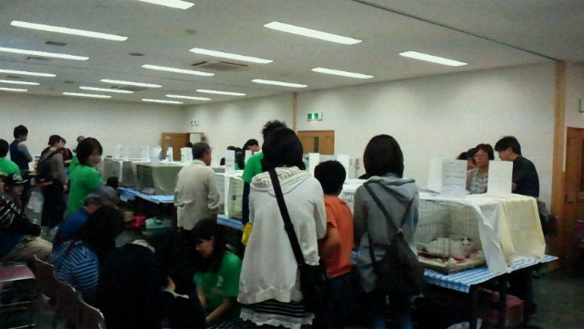 2015051107490000.jpg