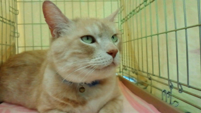 2015051107510000.jpg