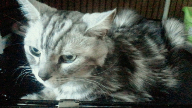 2015051108240000.jpg